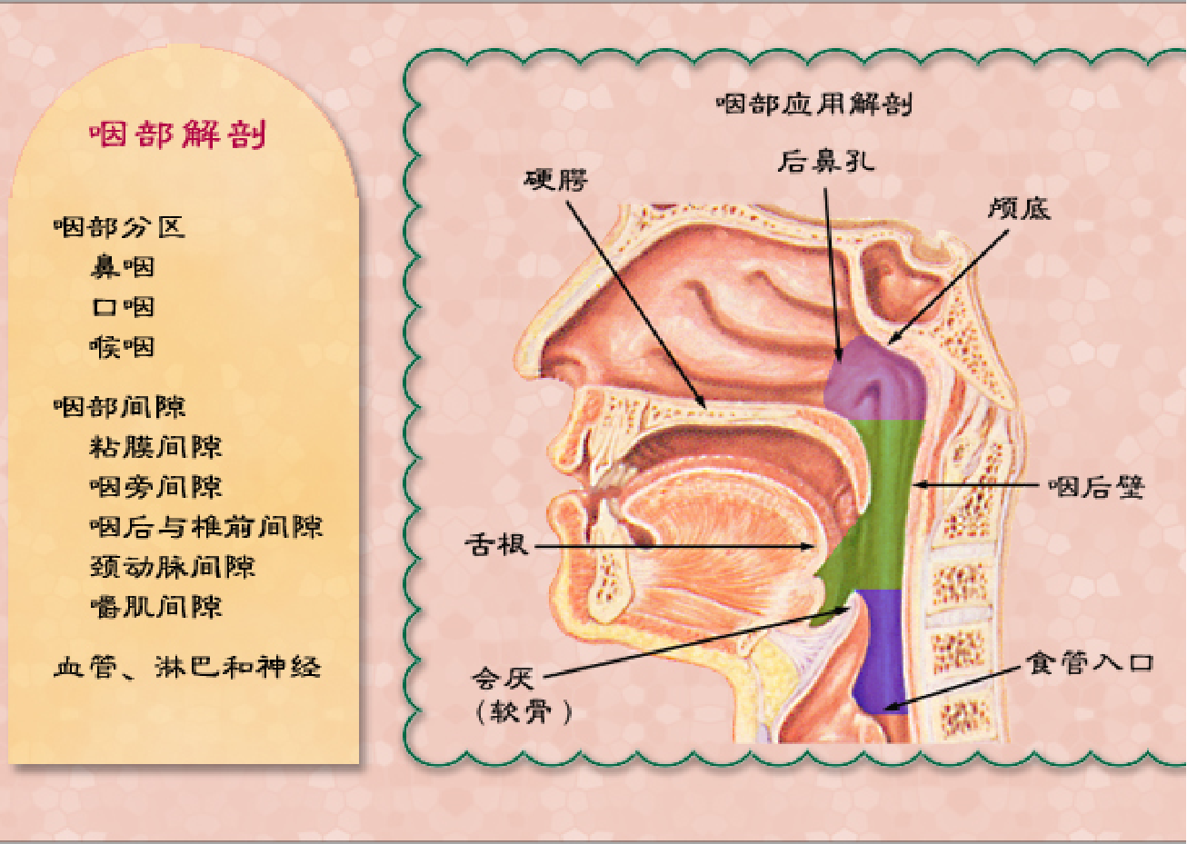 记录治疗慢性咽炎过程1 - 知乎